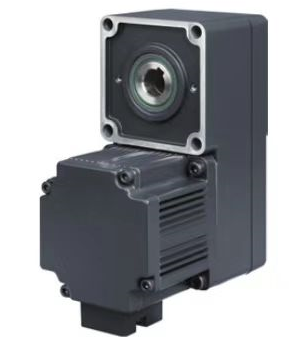 DC Brushless Gear Motor