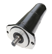 DC Gear Motor